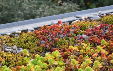 the cost of Well Hill green roof installation