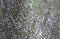 Well Hill fibreglass roof work